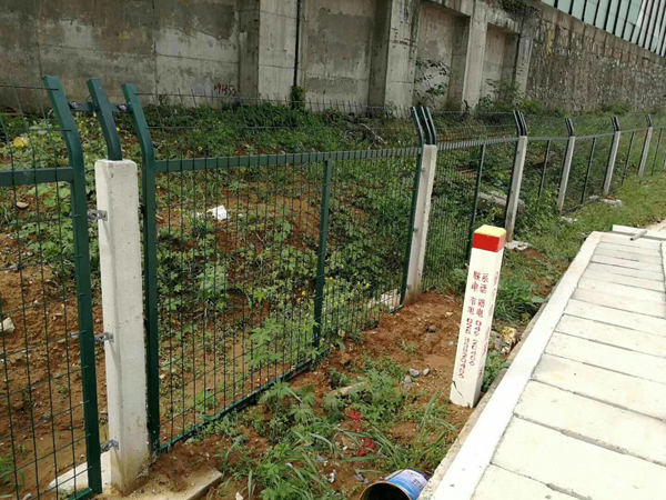 F·oھW(wng)--F(xin)؛