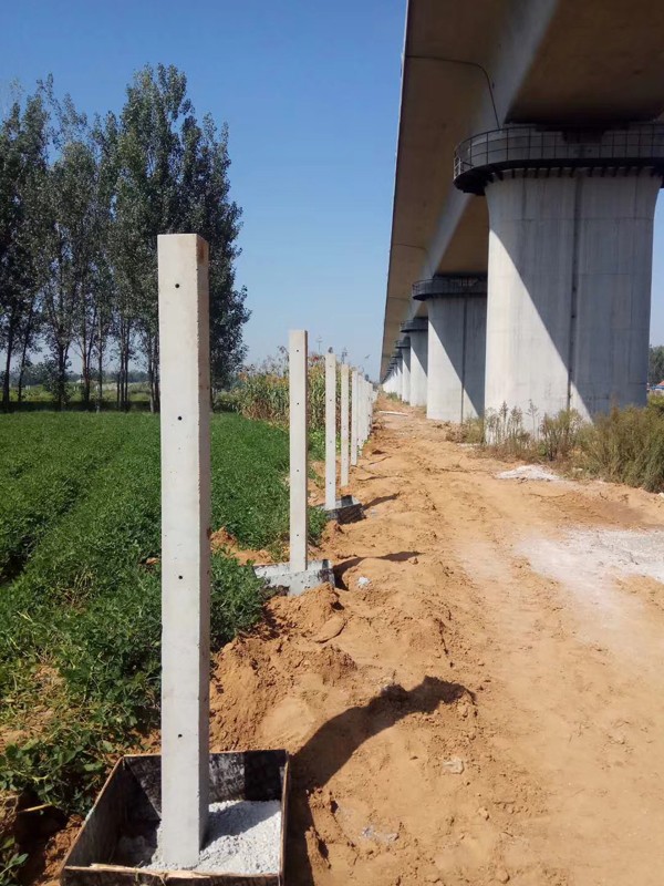 F·o(h)ھW(wng)--F(xin)؛(yng)